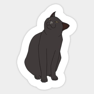 SMUG BLACK CAT MEME Sticker